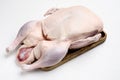 Raw whole Duck meat, on white stone table background