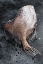 Raw whole fish John Dory. Black background. Top view. Copy space Royalty Free Stock Photo
