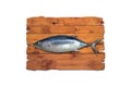 Raw whole fish, northern albacore on kitchen board Royalty Free Stock Photo