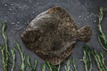 Raw whole flounder fish with rosemary on dark stone background.