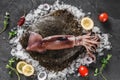 Raw whole flounder fish with whole squids on ice over dark stone background with lemon and spices