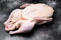 Raw whole goose, poultry meat, on black dark stone table background