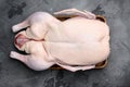 Raw whole goose, poultry meat, on gray stone table background, top view flat lay