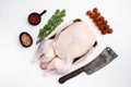 Raw whole goose, poultry meat with herbs, on white stone table background, top view flat lay