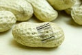 Raw whole peanuts in the shell with nutrition label Royalty Free Stock Photo