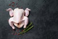 Raw whole poult with rosemary and pink pepper. Black background. Top view. Space for text