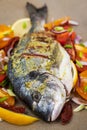 Raw whole sea bream fish and vegetables ingredients Royalty Free Stock Photo