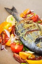 Raw whole sea bream fish and vegetables ingredients Royalty Free Stock Photo