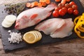 Raw whole tilapia, fillets and vegetable ingredients, spices close-up on the table. horizontal top view