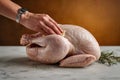 Raw whole turkey being prepared on kitchen counter. Royalty Free Stock Photo