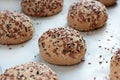 Raw wholegrain buns on the oven-tray before baking Royalty Free Stock Photo