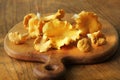 Raw wild chanterelle mushrooms redy for cooking. Composition with wild mushrooms, herbs, onion