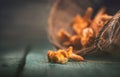 Raw wild chanterelles mushrooms in a basket Royalty Free Stock Photo