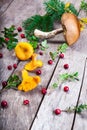 Raw wild mushrooms chanterelles on old wooden background. Vegetarian healthy product. Healthy lifestyle Royalty Free Stock Photo