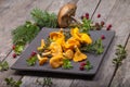 Raw wild mushrooms chanterelles on old wooden background. Vegetarian healthy product. Healthy lifestyle Royalty Free Stock Photo