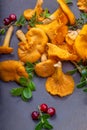 Raw wild mushrooms chanterelles on old wooden background. Vegetarian healthy product. Healthy lifestyle Royalty Free Stock Photo