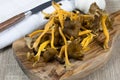 Raw wild mushrooms Royalty Free Stock Photo