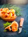 Raw wild Saffron milk cap mushrooms on dark old rustic background. Lactarius deliciosus, Rovellons, Niscalos mushroom closeup Royalty Free Stock Photo