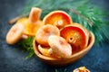 Raw wild Saffron milk cap mushrooms on dark old rustic background. Lactarius deliciosus. Rovellons, Niscalos. Organic mushrooms Royalty Free Stock Photo