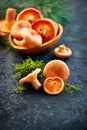 Raw wild Saffron milk cap mushrooms on dark old rustic background. Lactarius deliciosus. Rovellons, Niscalos