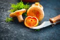 Raw wild Saffron milk cap mushrooms on dark old rustic background. Lactarius deliciosus. Rovellons, Niscalos. Organic mushrooms