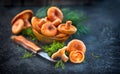 Raw wild Saffron milk cep mushrooms on dark old rustic background. Lactarius deliciosus. Rovellons, Niscalos. Organic mushrooms