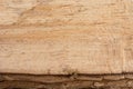 Natural Beauty: Brown Raw Wood Texture of Log Cut Royalty Free Stock Photo