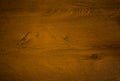 Raw wooden texture background