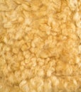 Raw wool background. Also softness, warmness concept Royalty Free Stock Photo