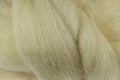 Raw wool from the Dutch island of Texel Royalty Free Stock Photo