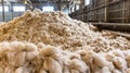 Raw Wool Piles in Processing Mill Industrial Textile Production Royalty Free Stock Photo