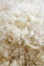 Raw Wool Texture Royalty Free Stock Photo