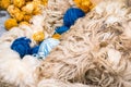 Raw wool for weave and yarn making. Royalty Free Stock Photo