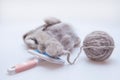 Raw wool yarn coiled into a ball Royalty Free Stock Photo