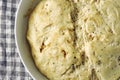 Raw yeast dough in a bowl. Royalty Free Stock Photo