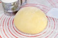 Raw yeast dough on the floured silicone baking mat