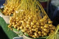 Raw yellow Dates fruit in Thai market Royalty Free Stock Photo