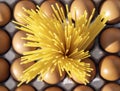 Raw yellow italian spagetti close up on eggs background, top view Royalty Free Stock Photo