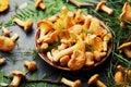 Raw yellow mushrooms chanterelle cantharellus cibarius in ceramic plate with forest plants on black kitchen table.