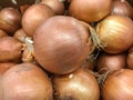 Raw yellow onions at a farmer& x27;s market Royalty Free Stock Photo