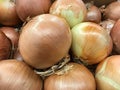 Raw yellow onions at a farmer& x27;s market Royalty Free Stock Photo
