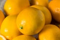 Raw Yellow Organic Meyer Lemons