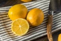 Raw Yellow Organic Meyer Lemons Royalty Free Stock Photo