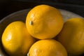 Raw Yellow Organic Meyer Lemons Royalty Free Stock Photo
