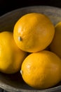 Raw Yellow Organic Meyer Lemons Royalty Free Stock Photo