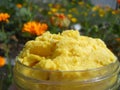 Raw Yellow Shea Butter Glass Jar Royalty Free Stock Photo