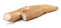 Raw yucca on white background-Manihot esculenta. Cassava raw tuber. Healthy, backgroundmanihot.