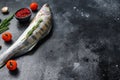 Raw zander, walleye fish with herbs. Black background. Top view. Copy space