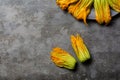 Raw Zucchini Flowers, ricotta cheese and parsley. Courgette or pumpkin flowers. Royalty Free Stock Photo