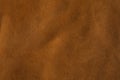 Rawhide Buffalo Leather, XXL size background Royalty Free Stock Photo